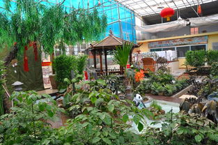 景泰鴻升生態園誠聘大廚