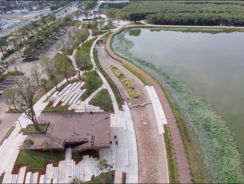 新會區人民政府