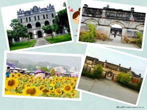 清新、自然，暢聽未來——武宣環(huán)豐生態(tài)園與九龍?zhí)渡鷳B(tài)園的生態(tài)之旅