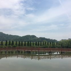 龍荷農業生態園與九龍潭生態園游覽指南 聯系方式、地址與營業時間